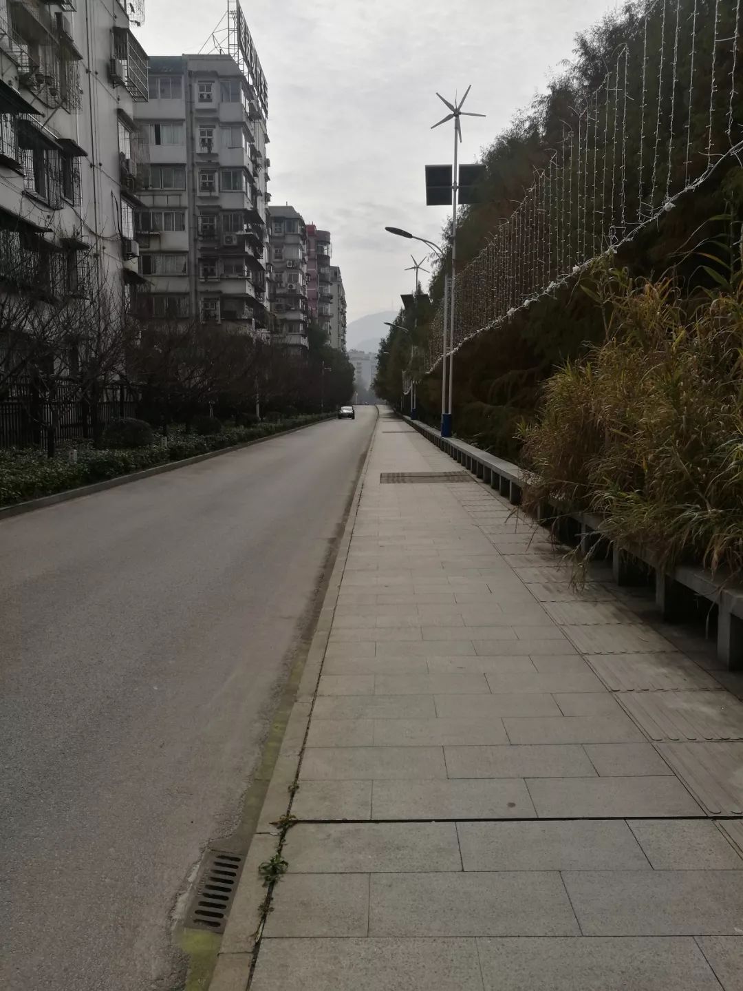 60a14f00cdbcd9cb.jpg