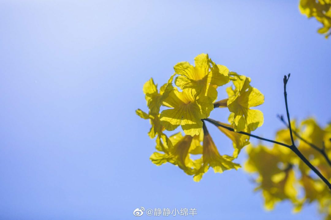 cedce8cf73fe5125.jpg