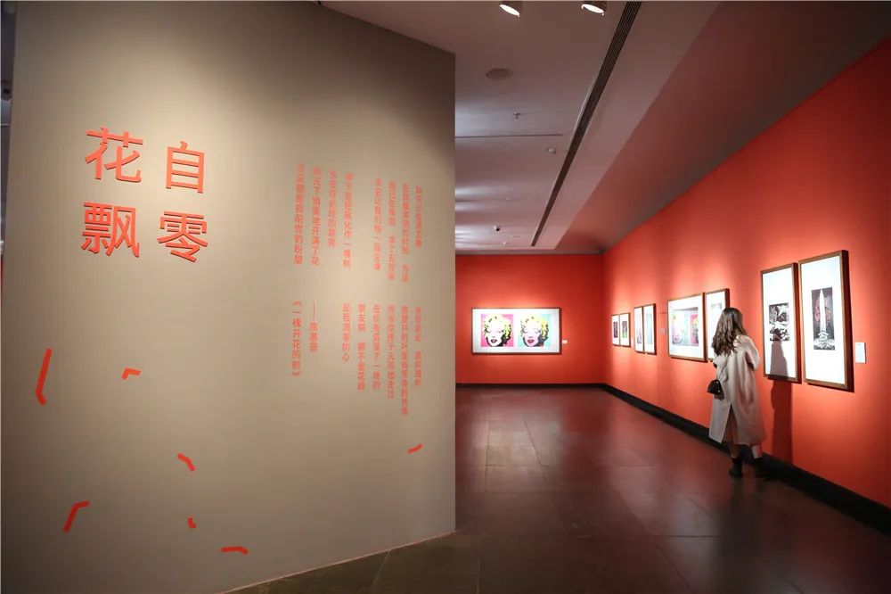 fd620604e3e2f74c.jpg