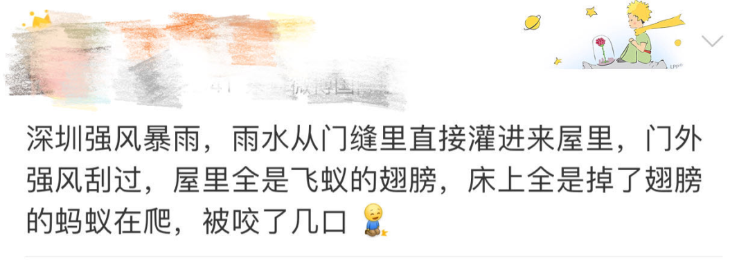 a047ecb4d5354866.jpg