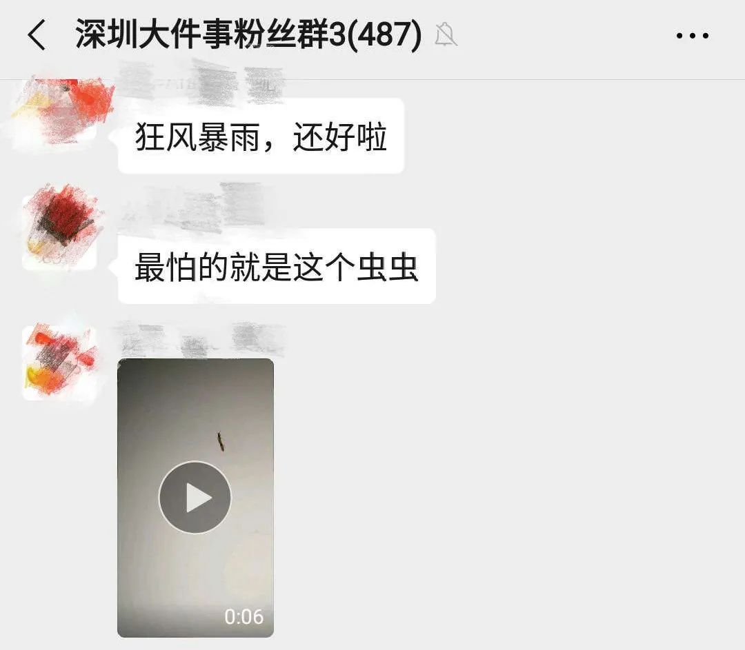 a82cf7839d9aa641.jpg