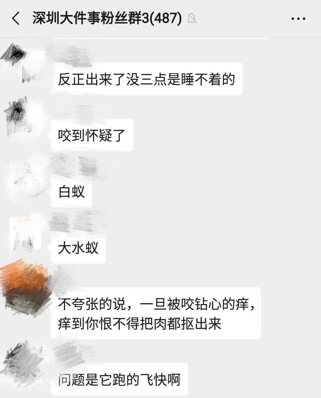 c51e2f4253f1d1b9.jpg