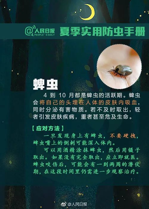 500x700_d22d3762c232d183.jpg