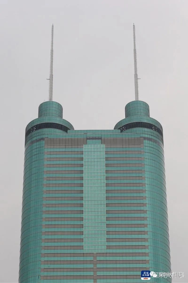 800x1201_649b670593db85ed.jpg