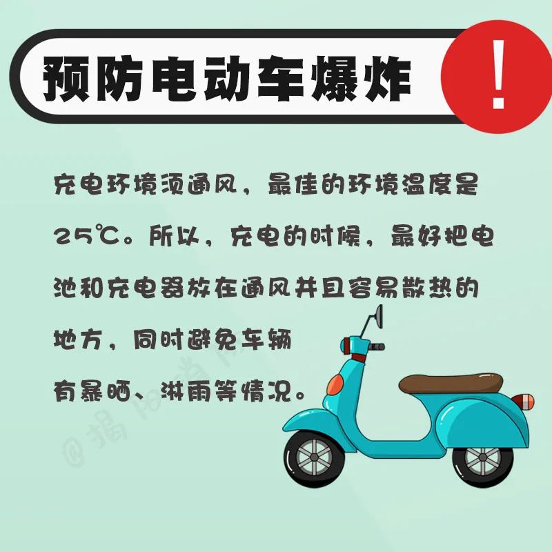 800x800_7c7f2b44642e92ef.jpg