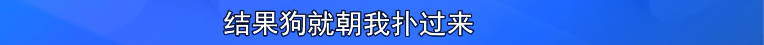 764x45_4fe8b275072b030b.jpg