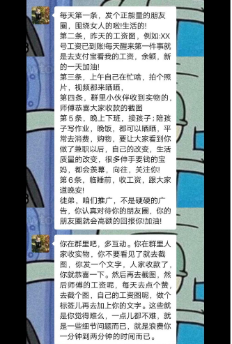 333x493_c73345d519ca14e7.jpg