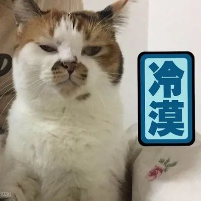 400x399_bdac64c0182be0c5.jpg
