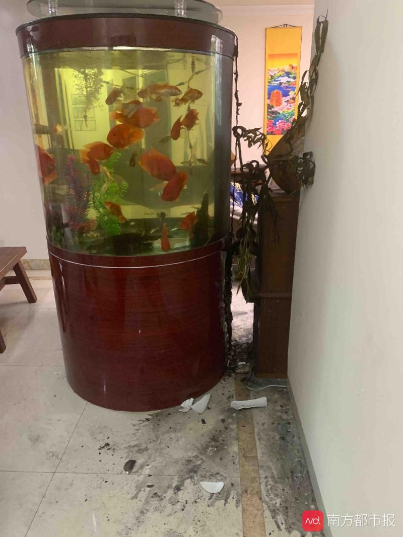 家里怎么制造氧气家中突然起火，业主质疑鱼缸氧气泵自燃！商家：建议走鉴定_https://www.jmylbn.com_新闻资讯_第1张