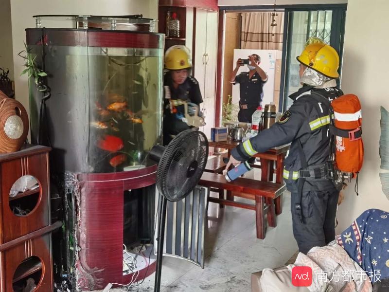 家里怎么制造氧气家中突然起火，业主质疑鱼缸氧气泵自燃！商家：建议走鉴定_https://www.jmylbn.com_新闻资讯_第2张