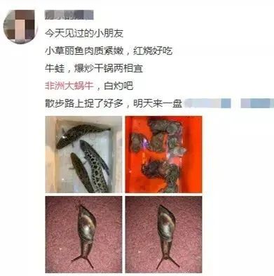 391x393_6fddf90d72b32a1f.jpg