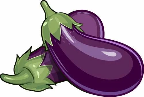 500x337_a04c1a48d09bf415.jpg