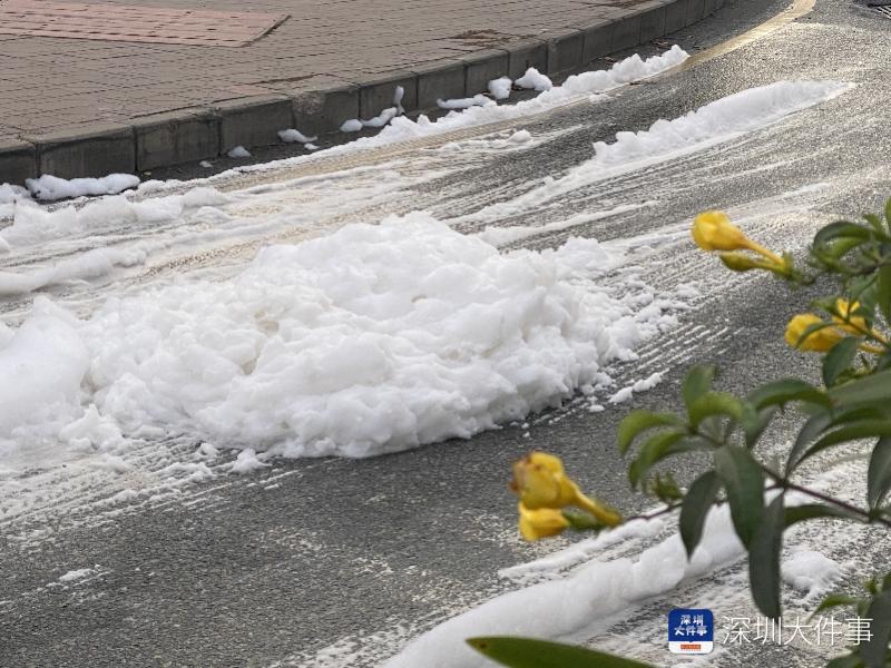 imagefile 800x600_5fcf52600f705.jpg