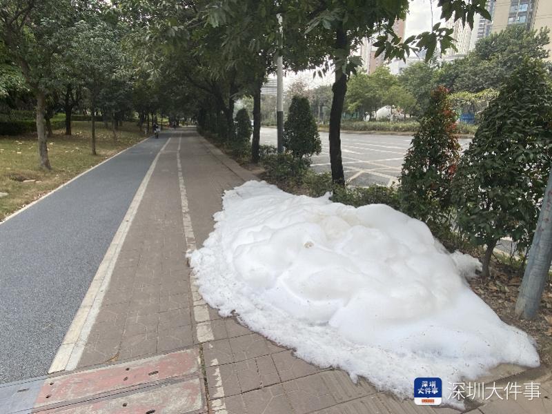 imagefile 800x600_5fcf52967db0a.jpg