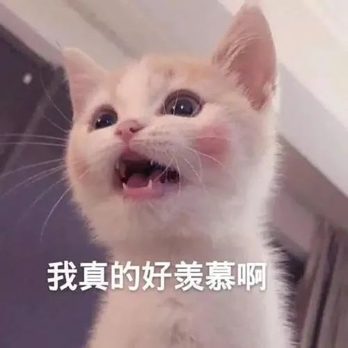 500x500_db968f20a5bfc9e0.jpg