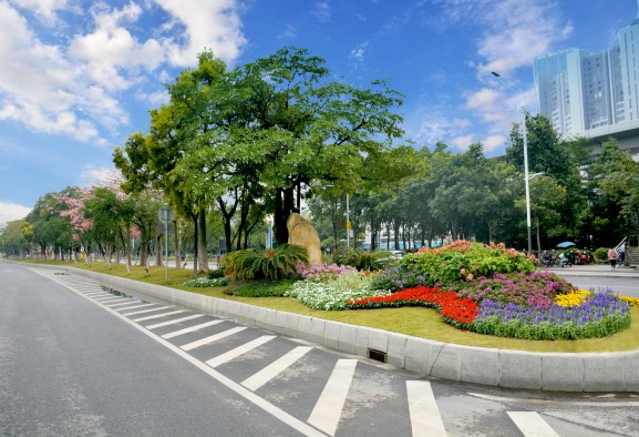 广州"城市家具"怎么设计,行道树如何建设?规范出来了