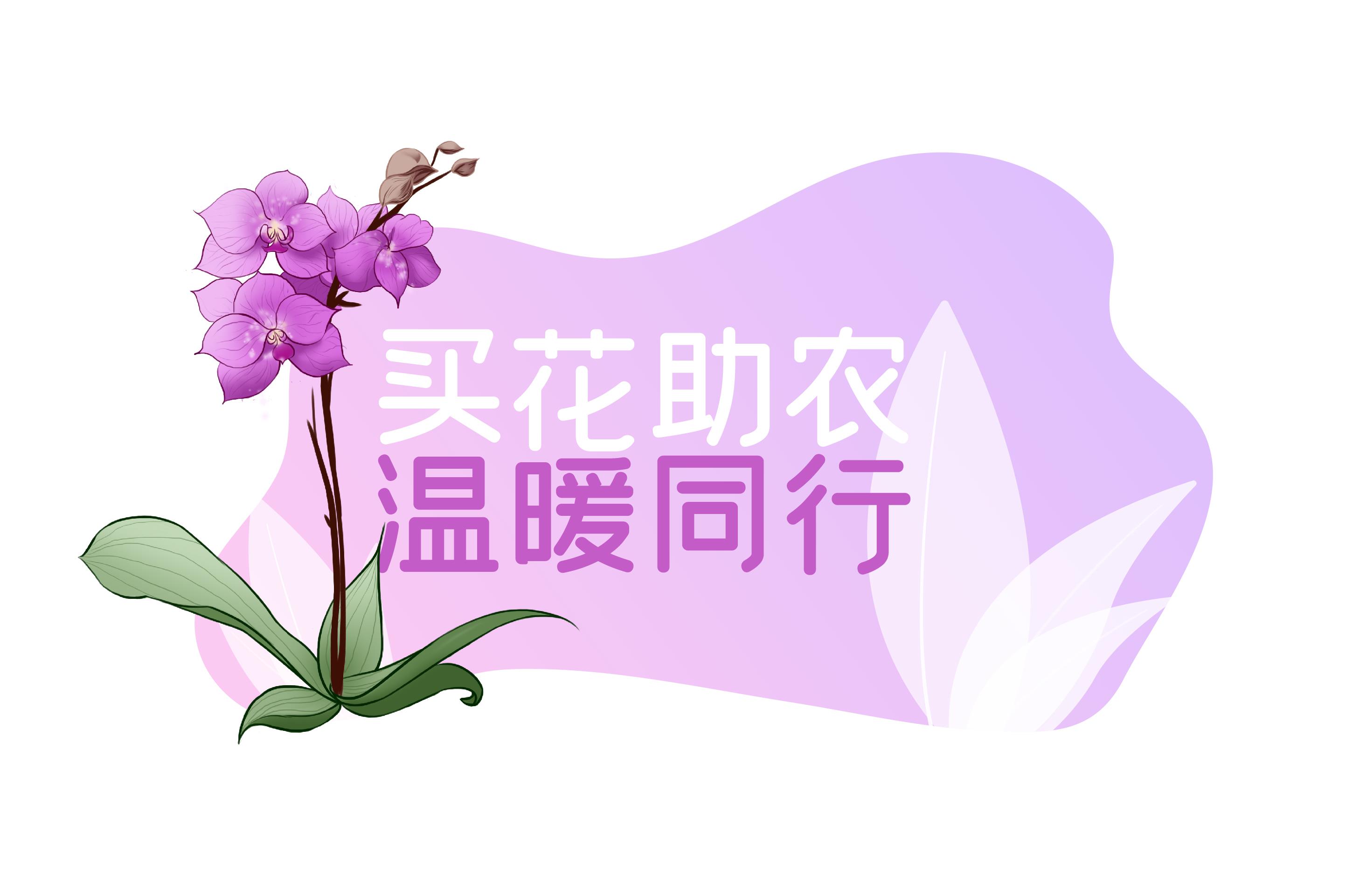 专题头图