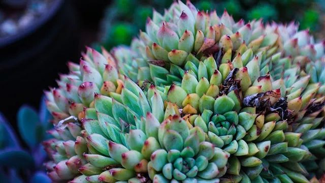 640x360_06177c909778d5d2.jpg