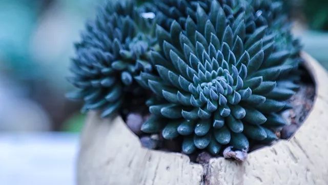 640x360_31eab59d44f683a8.jpg