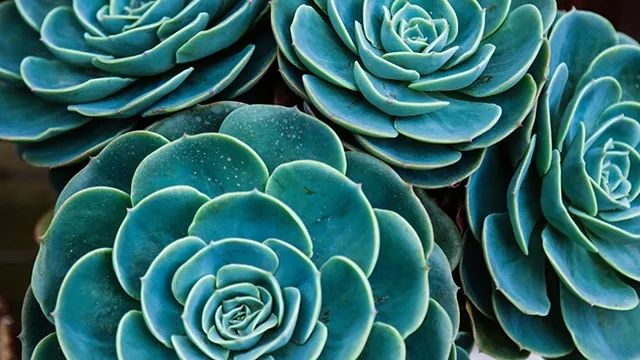 640x360_45b9c621c74d97b0.jpg