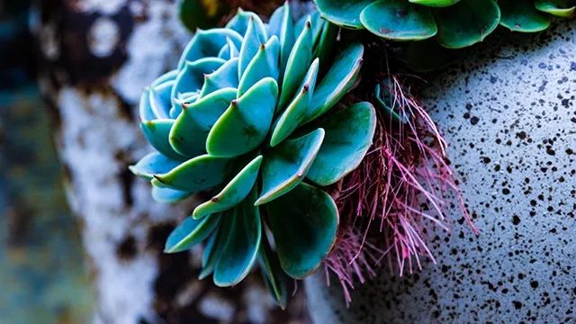 640x360_47e998d2d645920e.jpg