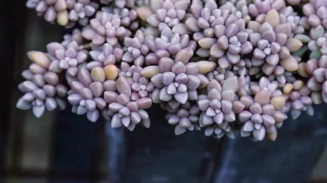 640x360_7df886d0642e92ef.jpg