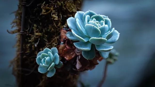 640x360_7f5cf830d3d94468.jpg