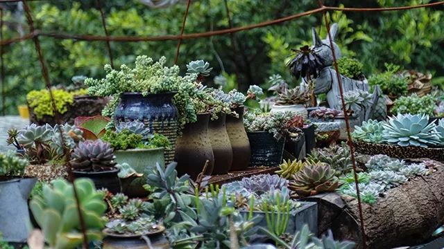 640x360_b29bb8fa8613985e.jpg