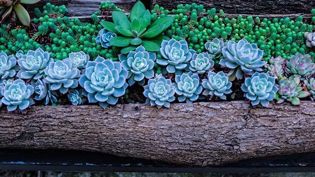 640x360_b9ab64196f4922f4.jpg