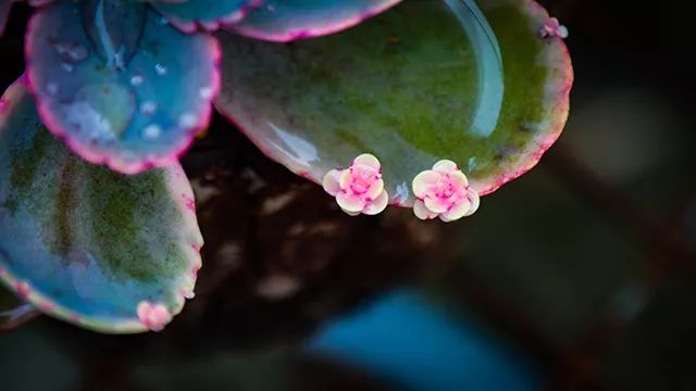 640x360_d79b58a9e2c420d9.jpg