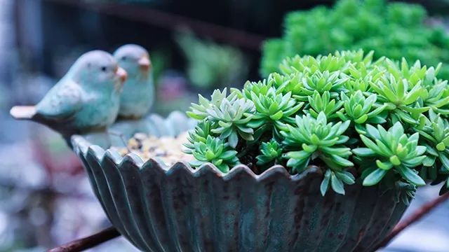 640x360_e24a4df2812b4ba2.jpg