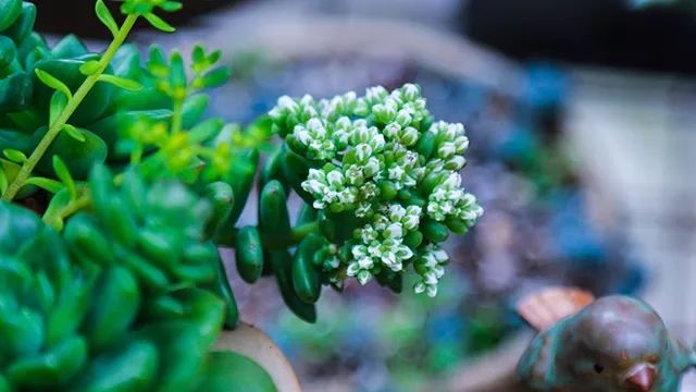 640x360_e442a664d3d94468.jpg