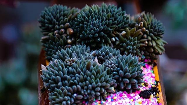 640x360_f69b396044f683a8.jpg