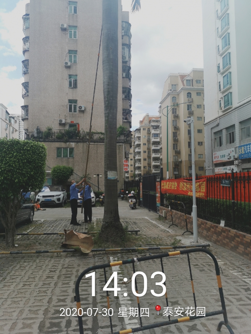 800x1067_603cd1587b0ae.jpg