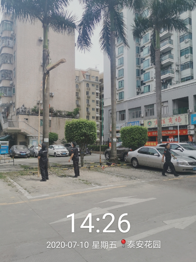 800x1067_603cd159564db.jpg