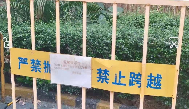 800x462_603cd1c8b664e.jpg