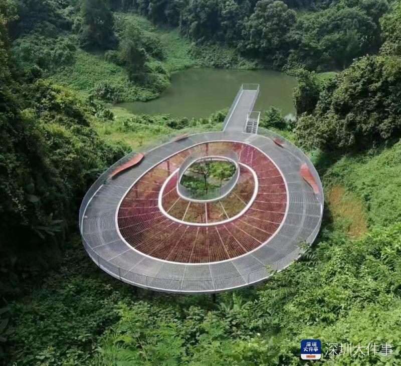 网红三桥2.jpg