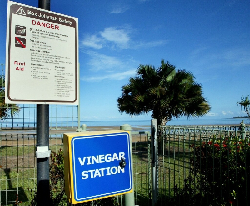 asignoutside.jpg