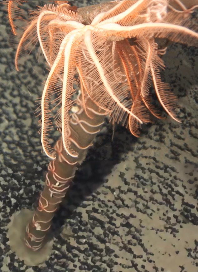 imagefile 微信图片_20210322111823.jpg