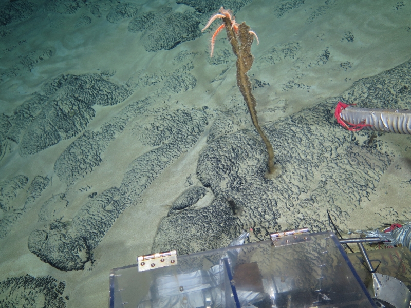 imagefile 微信图片_20210322111827.jpg