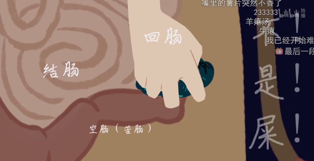 1080x556_56592603b6d767d2.jpg