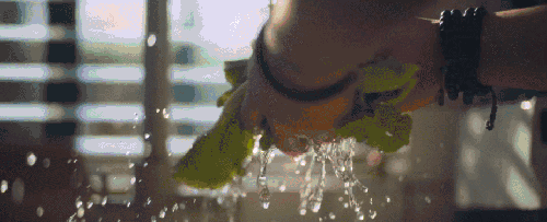500x203_677449d134173cb3.jpg
