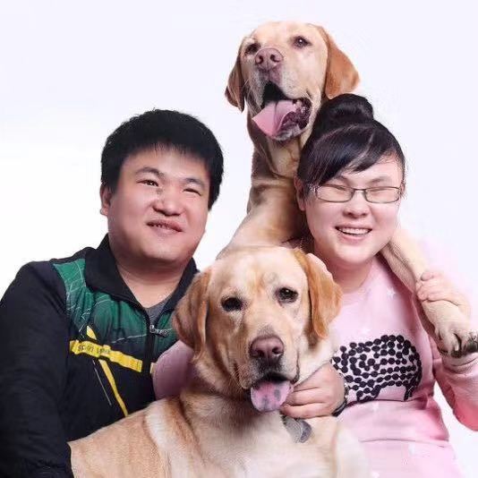 带着导盲犬拍婚纱照、还开抖音的夫妻：希望大家关注视障群体