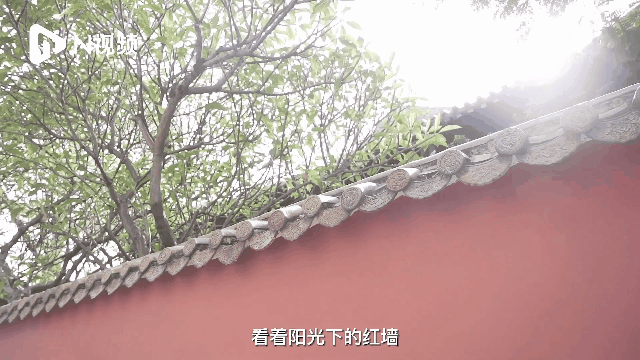 640x360_7aff96a0c51ce410.jpg