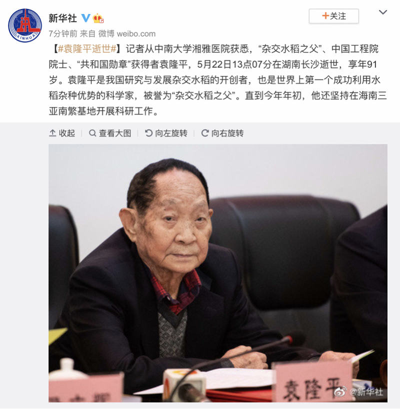 杂交水稻之父袁隆平:错过当飞行员运动员,母亲劝他学农辛苦