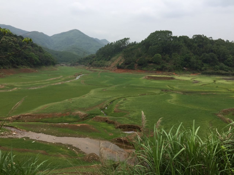 乡村2.jpg