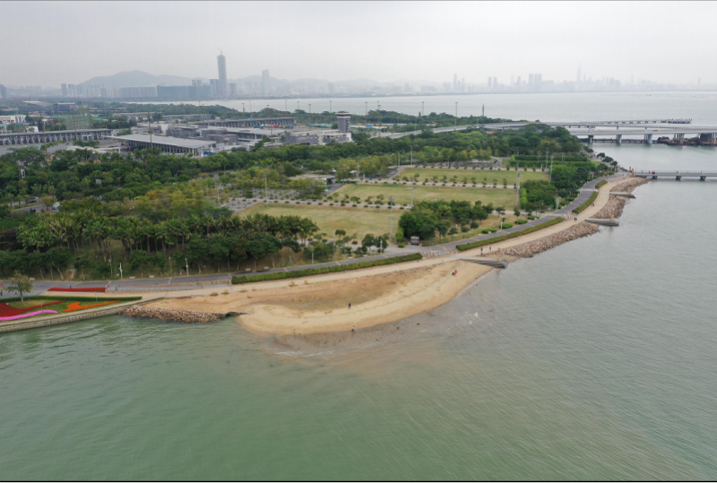 深圳湾拟建人工沙滩惹争议,部门最新回应