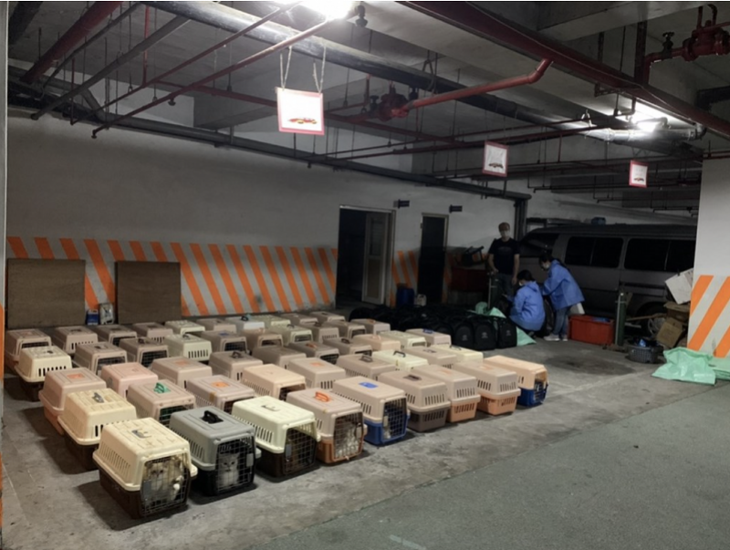 imagefile 微信图片_20210824113108.png