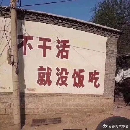 440x440_aa658a6c34173cb3.jpg