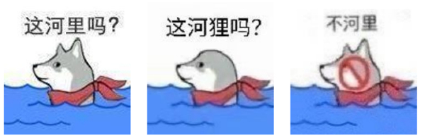 1635319534380089081.jpg